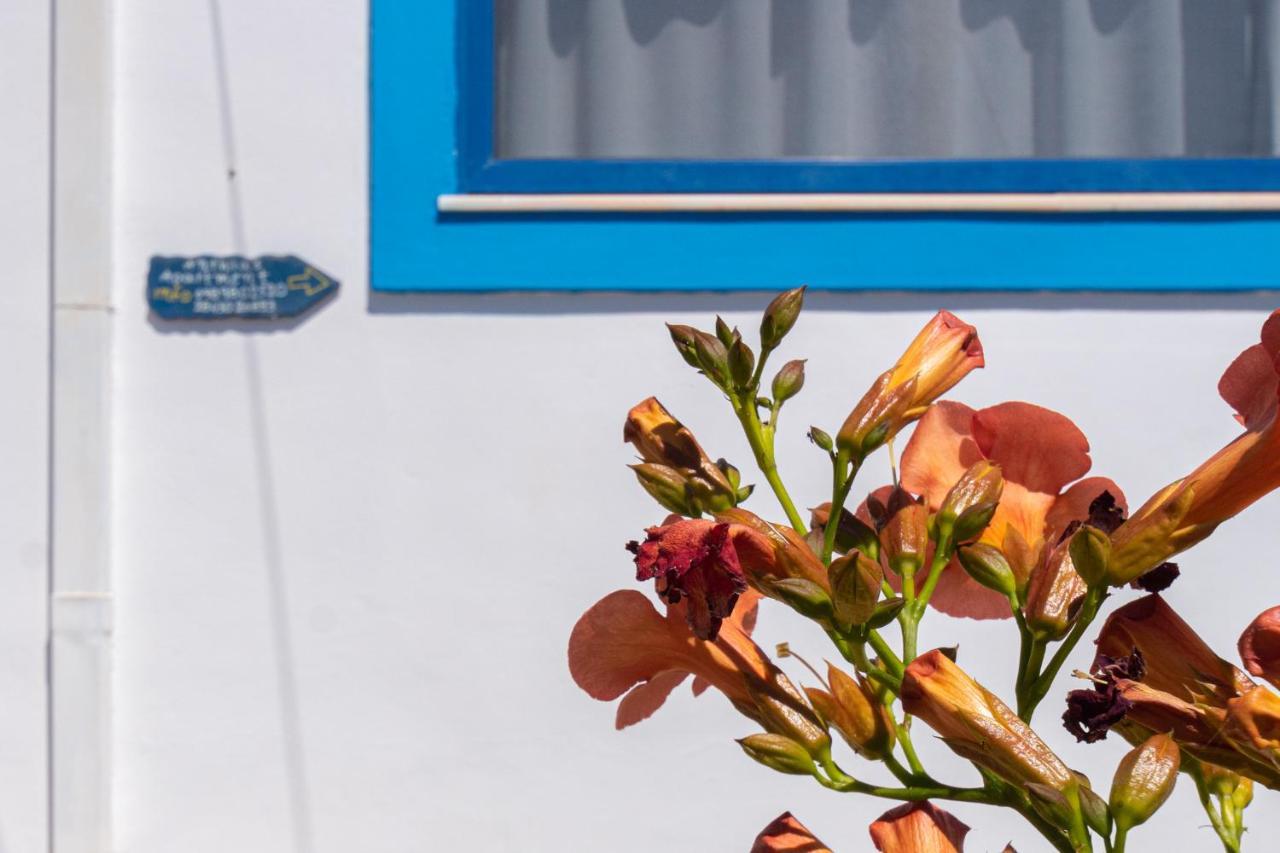 Anthia Apartment Sea View Káto Zákros المظهر الخارجي الصورة